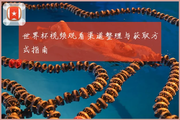 世界杯视频观看渠道整理与获取方式指南